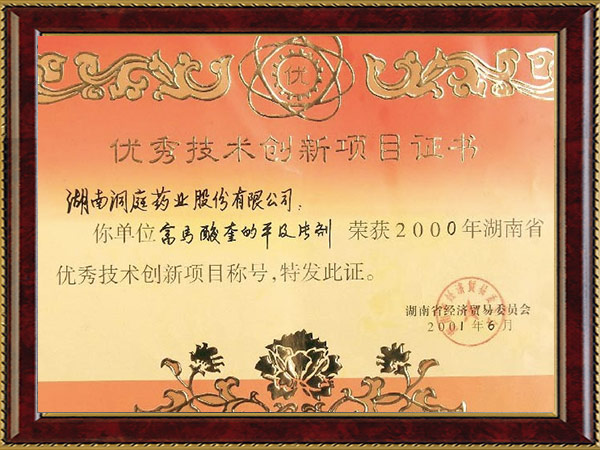 湖南省優(yōu)秀技術(shù)創(chuàng)新項目